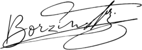 OnlineSignatures.net-478-Vasya Borzin .png