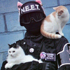 1750665144517.png