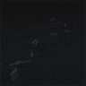 Evgeniy_Shapelevich