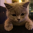 Mark_Rufa