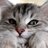 Ivan_Dudin